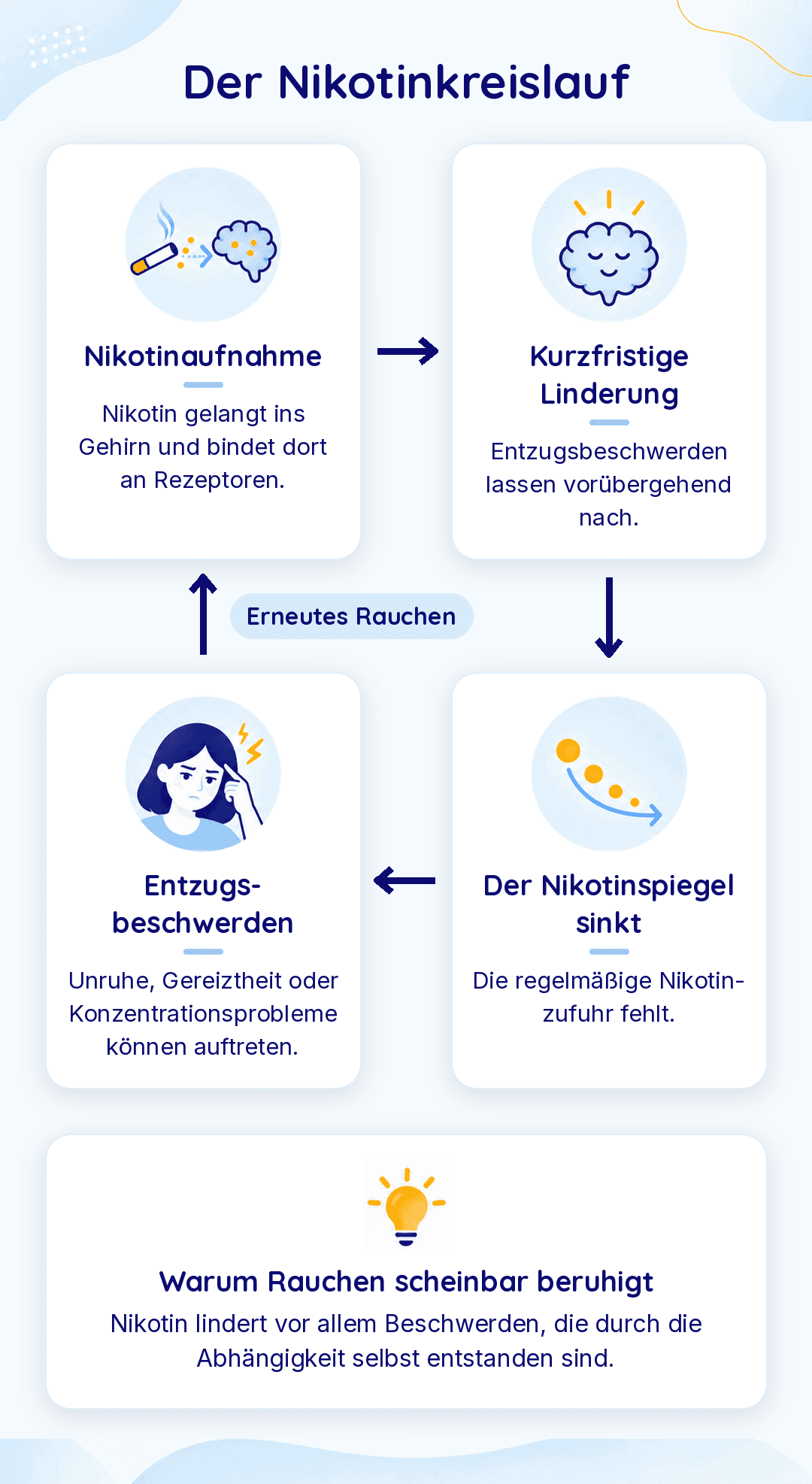 Infografik „Der Nikotinkreislauf“: Nikotinaufnahme, kurzfristige Linderung, sinkender Nikotinspiegel, Entzugsbeschwerden, dann erneutes Rauchen. Rauchen beruhigt nur scheinbar: Es lindert vor allem Beschwerden der Abhängigkeit selbst.
