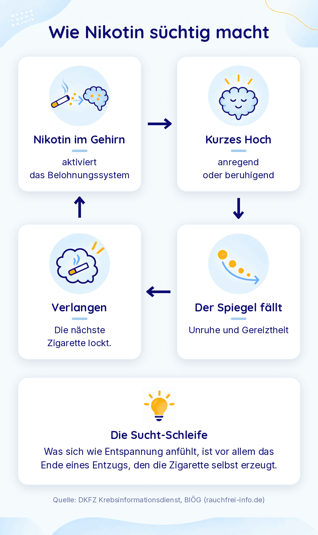 Infografik „Wie Nikotin süchtig macht“: Ein Kreislauf aus vier Schritten, von Nikotin im Gehirn über kurzes Hoch und fallenden Spiegel bis zum Verlangen nach der nächsten Zigarette.